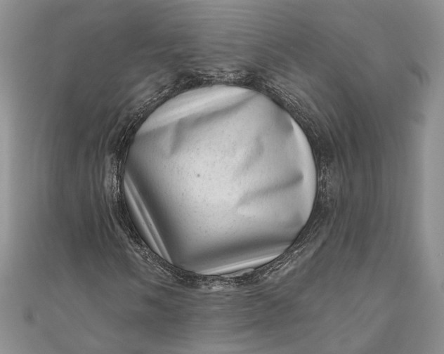 X0000110881058200907021452