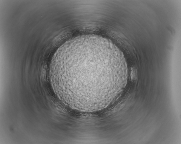 X0000110881059200907021452