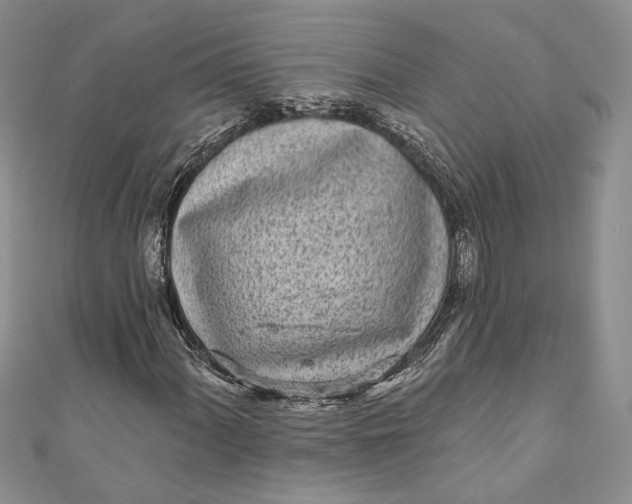 X0000110881060200907021452