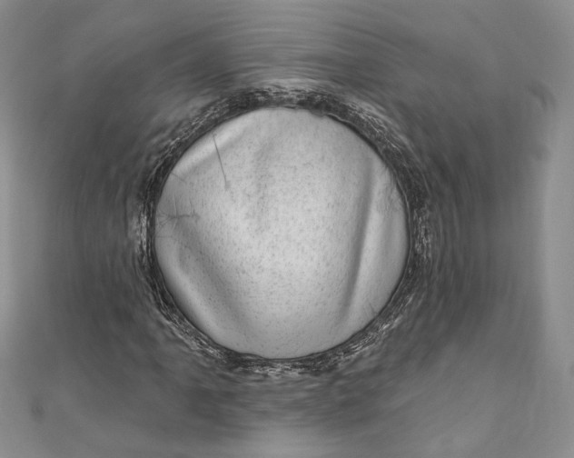 X0000110881061200907021452
