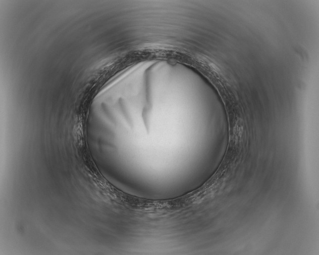 X0000110881062200907021452