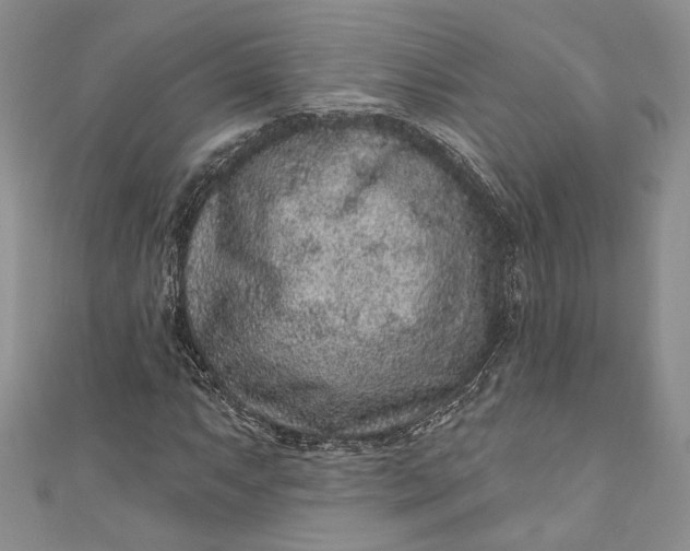X0000110881063200907021452