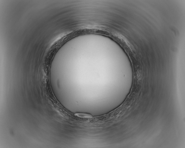 X0000110881064200907021452
