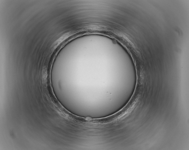 X0000110881065200907021452