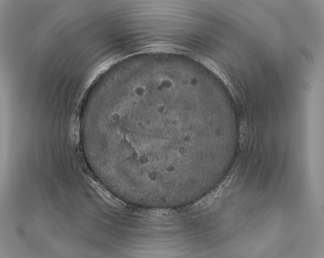X0000110881067200907021452