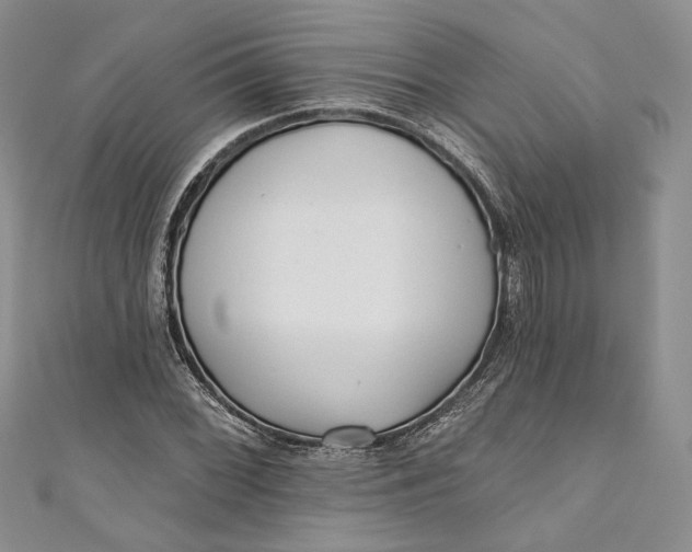 X0000110881068200907021452