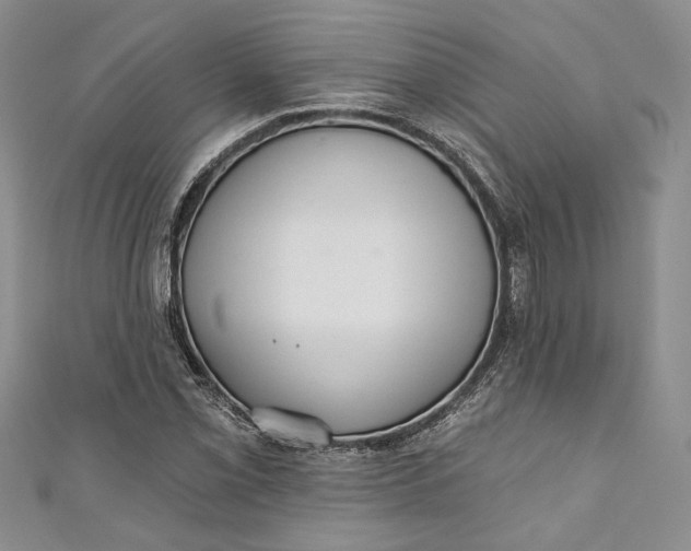 X0000110881069200907021452