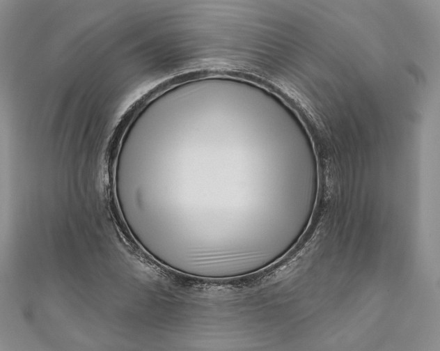 X0000110881070200907021452
