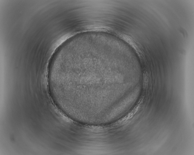 X0000110881071200907021452
