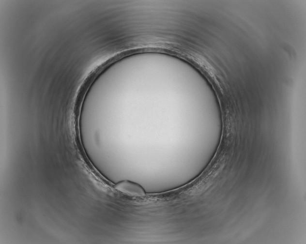 X0000110881072200907021452