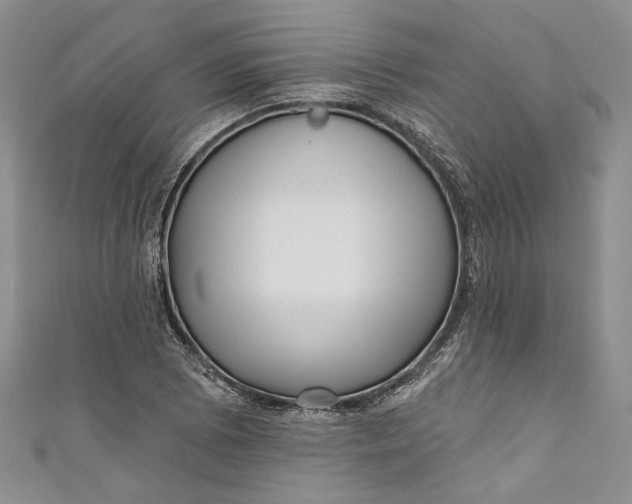 X0000110881073200907021452