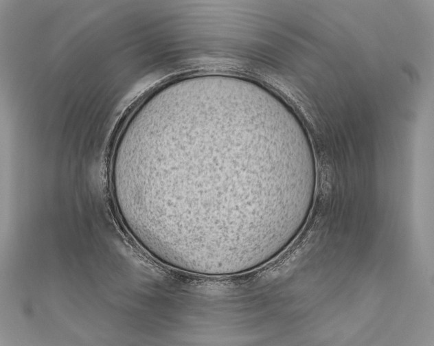 X0000110881074200907021452