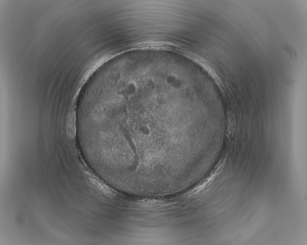 X0000110881075200907021452
