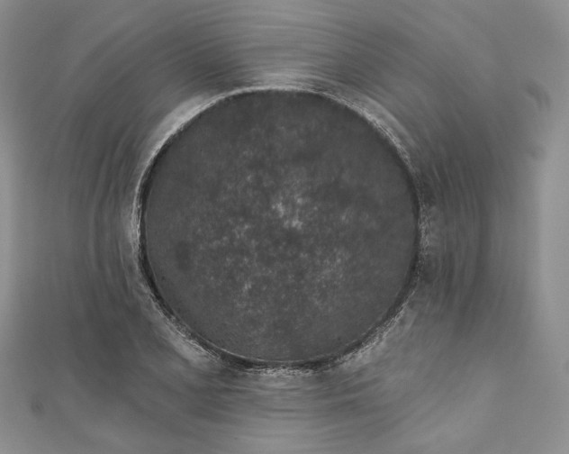 X0000110881077200907021452