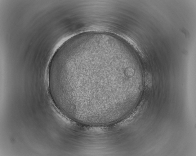 X0000110881078200907021452