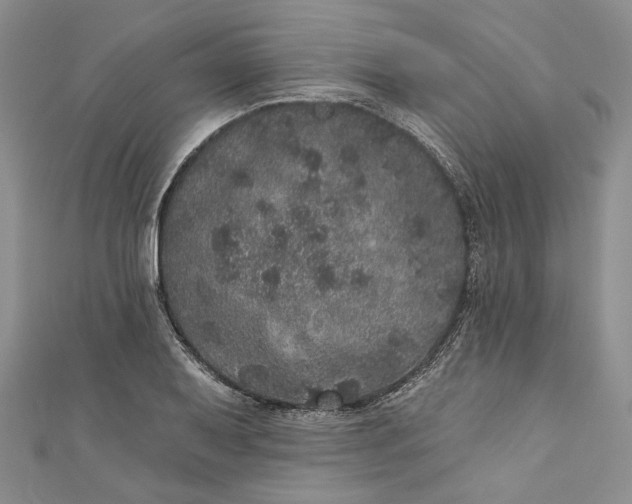 X0000110881079200907021452
