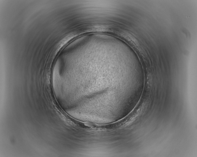 X0000110881081200907021452