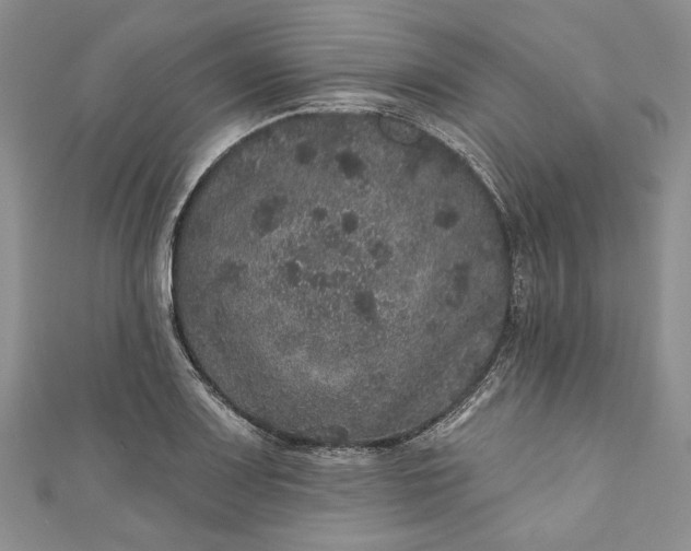 X0000110881083200907021452