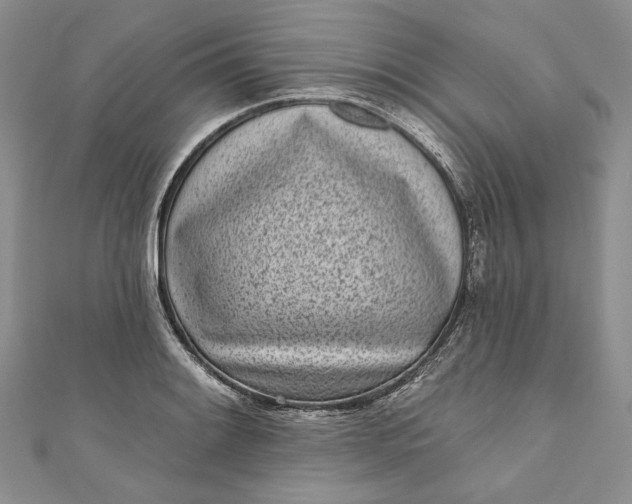 X0000110881084200907021452