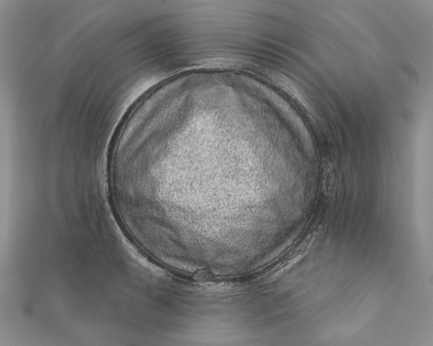 X0000110881087200907021452