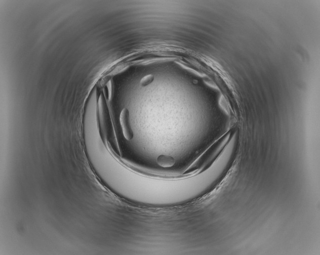 X0000110881089200907021452