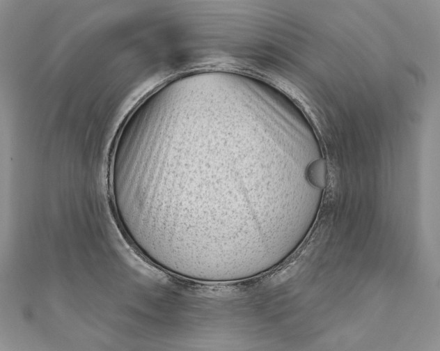 X0000110881090200907021452