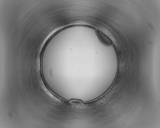X0000110881092200907021452
