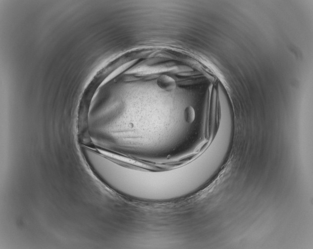 X0000110881093200907021452