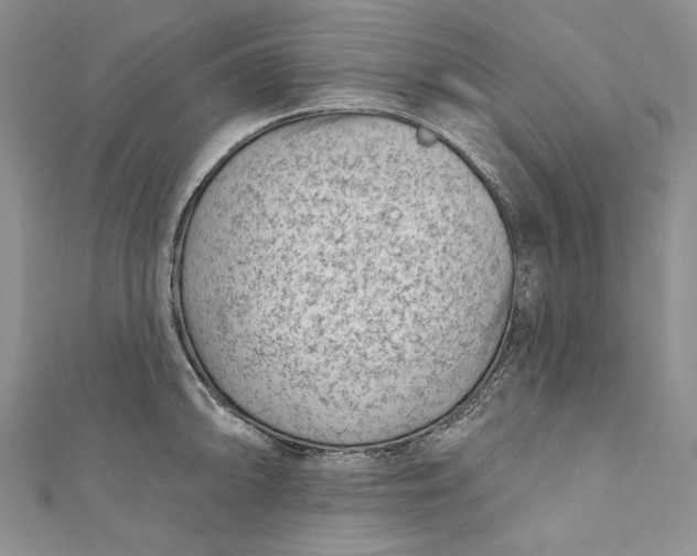 X0000110881094200907021452