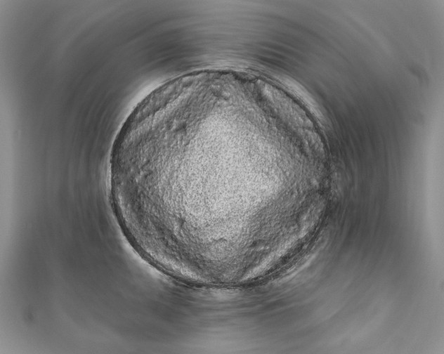 X0000110881095200907021452