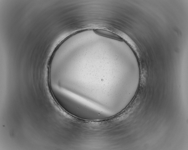 X0000110881096200907021452