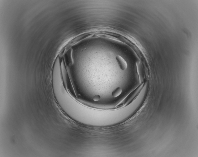 X0000110881097200907021452