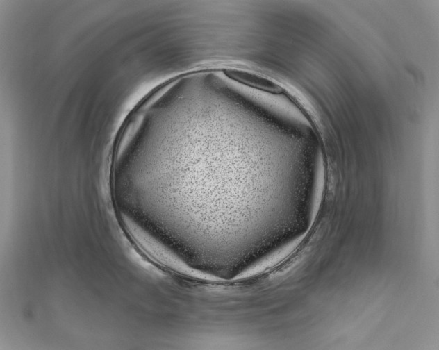 X0000110881102200907021452