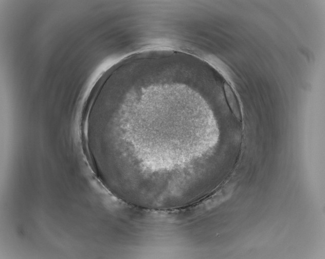 X0000110881104200907021452