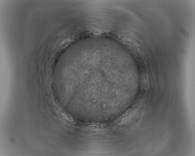 X0000110881105200907021451