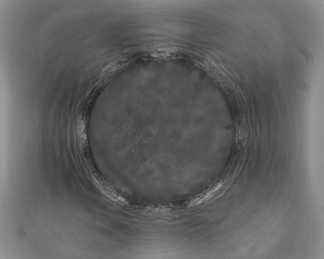 X0000110881106200907021451