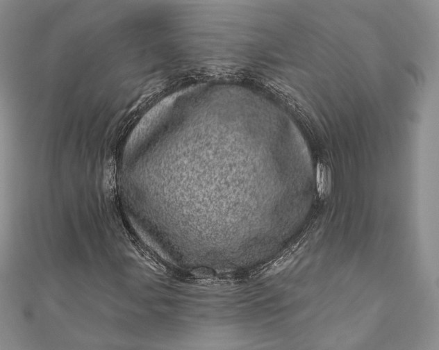 X0000110881107200907021451