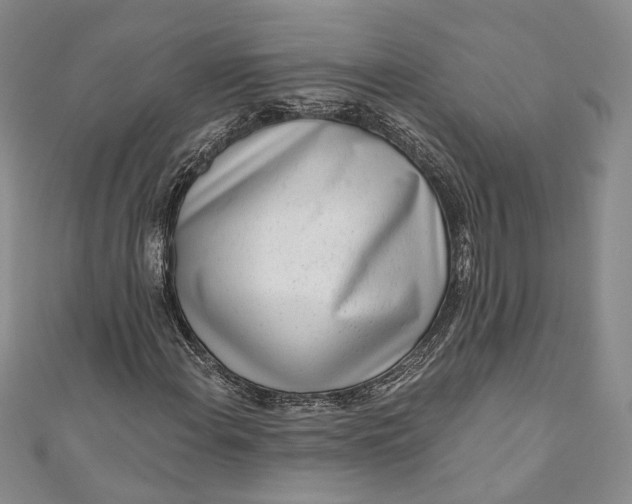 X0000110881108200907021451