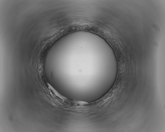 X0000110881109200907021451