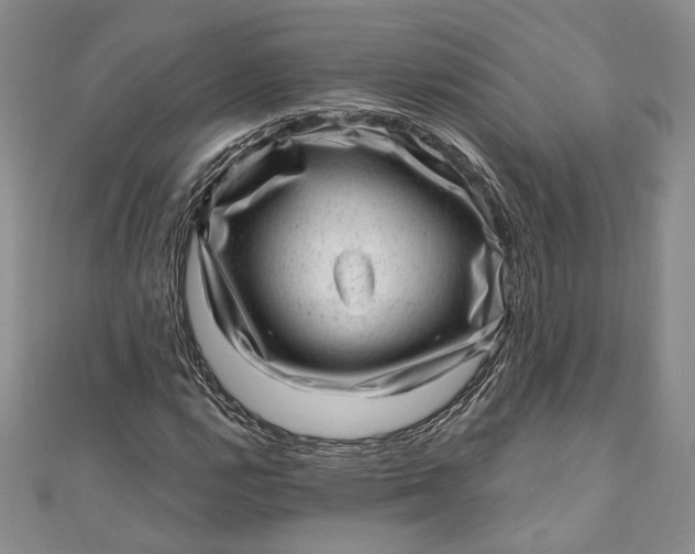 X0000110881112200907021451