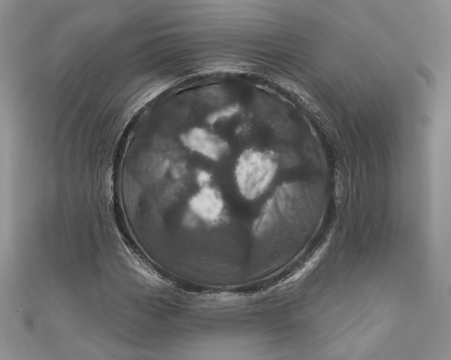 X0000110881113200907021451