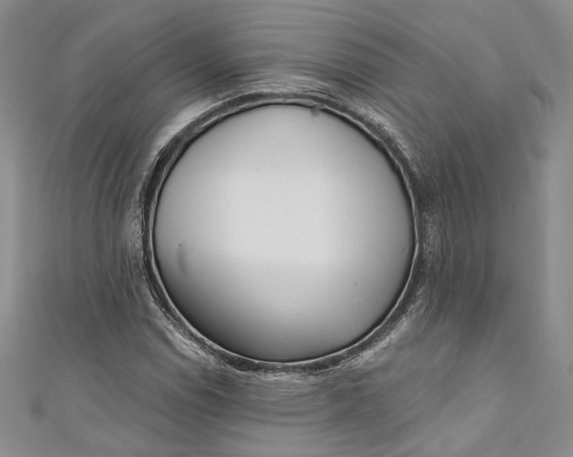 X0000110881114200907021451