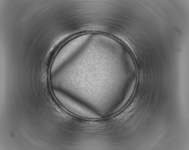X0000110881115200907021451