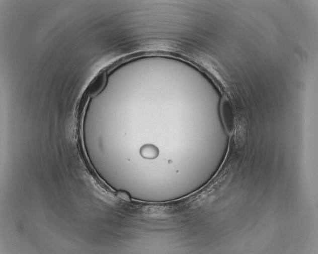 X0000110881116200907021451