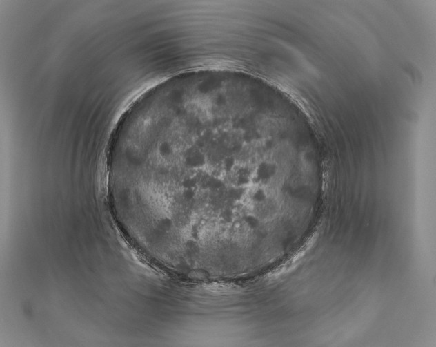X0000110881117200907021451