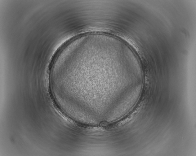 X0000110881119200907021451