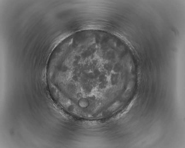 X0000110881121200907021451