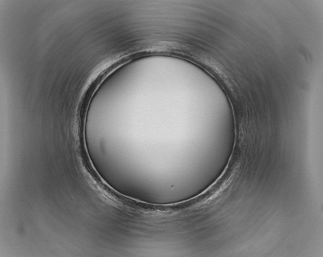 X0000110881122200907021451
