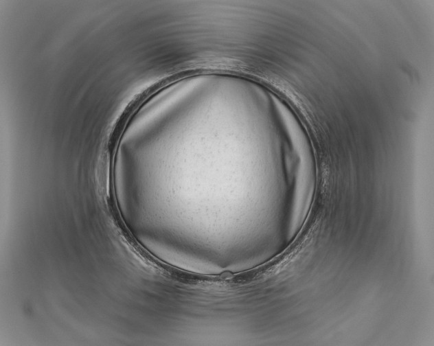 X0000110881123200907021451