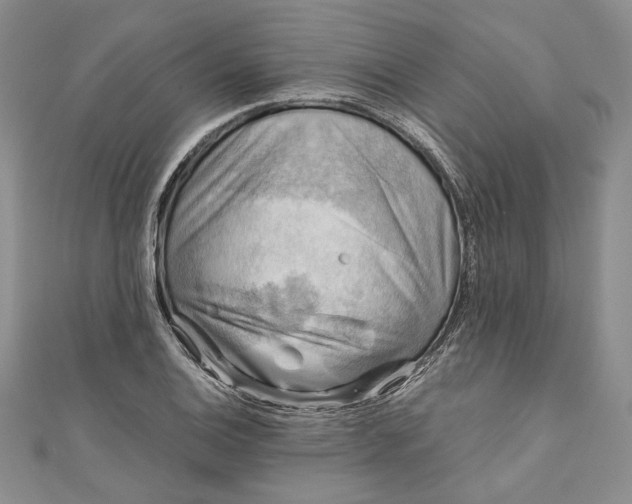 X0000110881124200907021451